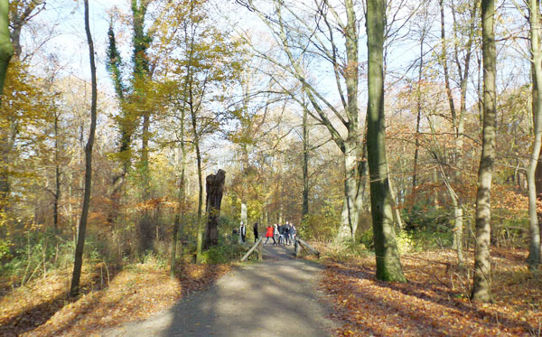 Red de Hout Alkmaar
