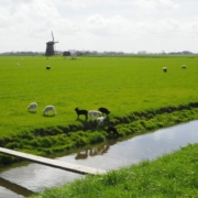 Schermer polder Leefbaar Alkmaar windturbines