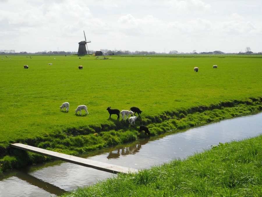 Schermer polder Leefbaar Alkmaar windturbines